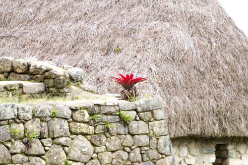 Machu Pichu 2017