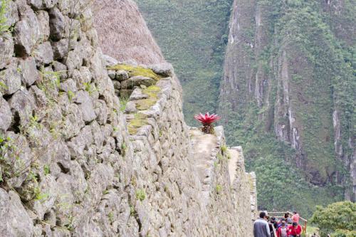Machu Pichu 2017